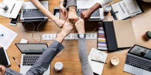Fomenta la cultura organizacional en tu empresa